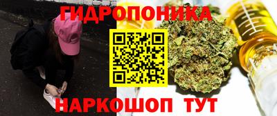 гидропоника Тула