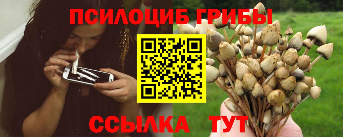 Галлюциногенные грибы мицелий Богданович